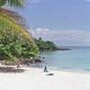 Meet your Posher, Anita